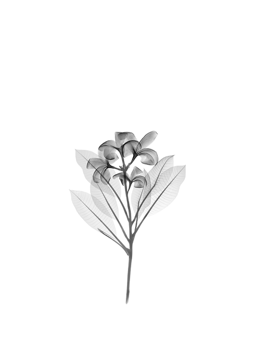 menu01